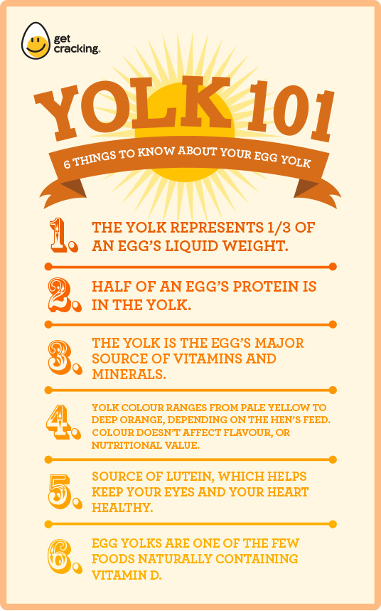 Egg-Yolk-nutrients
