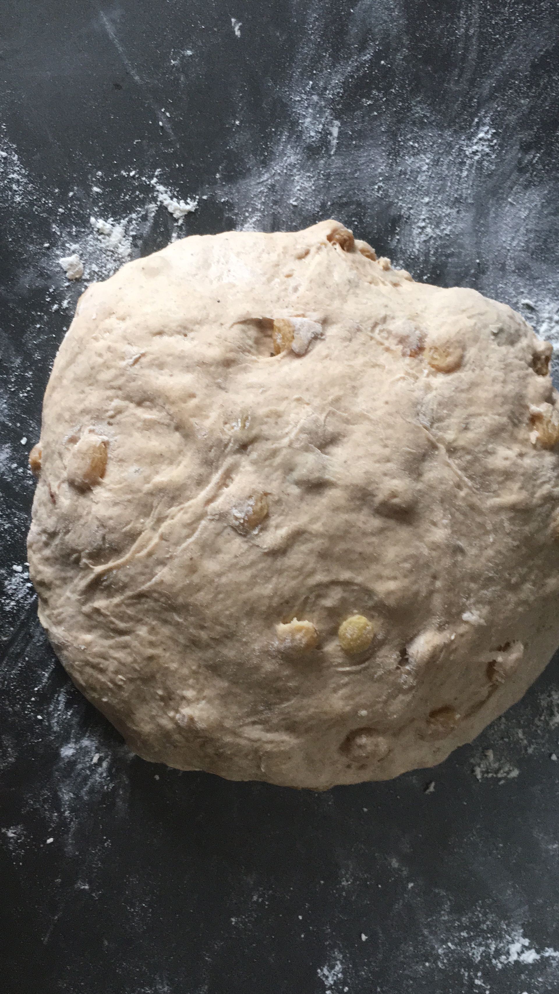 baking-cinnamon-raisin-bread-step-8